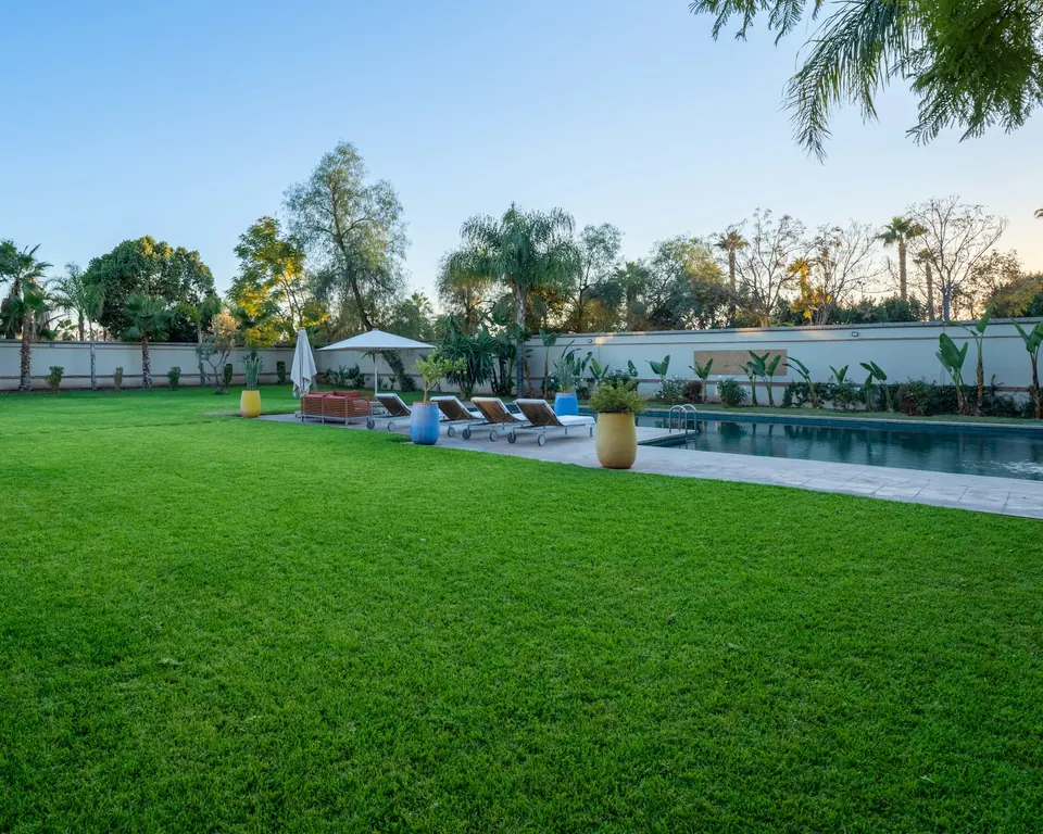 Landscaped villa garden with a wide lawn, palms and a pool terrace